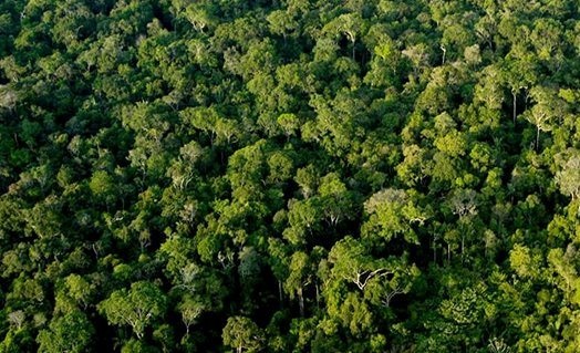 Justiça ambiental e Saúde em destaque
