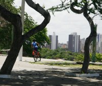 Próxima parada: Fortaleza