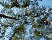 Rede Unida mais sustentável