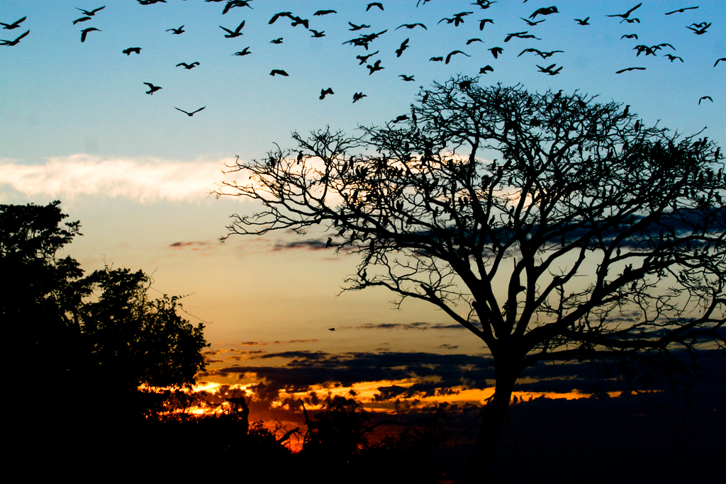 Veja a programação do Encontro Centro-Oeste 
