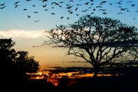 Veja a programação do Encontro Centro-Oeste 